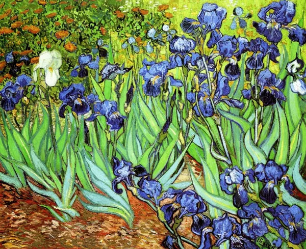 Iris II- Arte Floral de la Pared Imprime la Decoración Sala de Estar