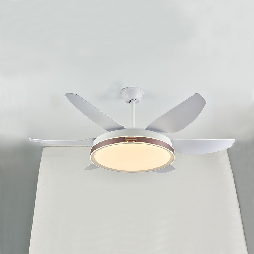 Haydn Ventilador de techo con Luz 6 Palas, 4 Colores, Motor dc, ∅130CM