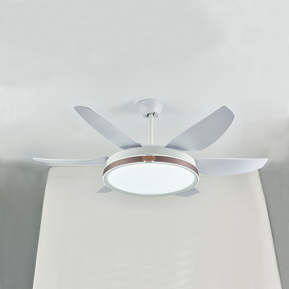 Haydn Ventilador de techo con Luz 6 Palas, 4 Colores, Motor dc, ∅130CM