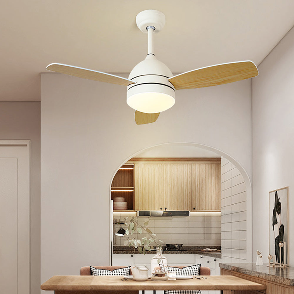 Haydn Ventilador con Luz, 3 Palas, Metal & Madera, 2 Colores , Motor dc, ∅107CM