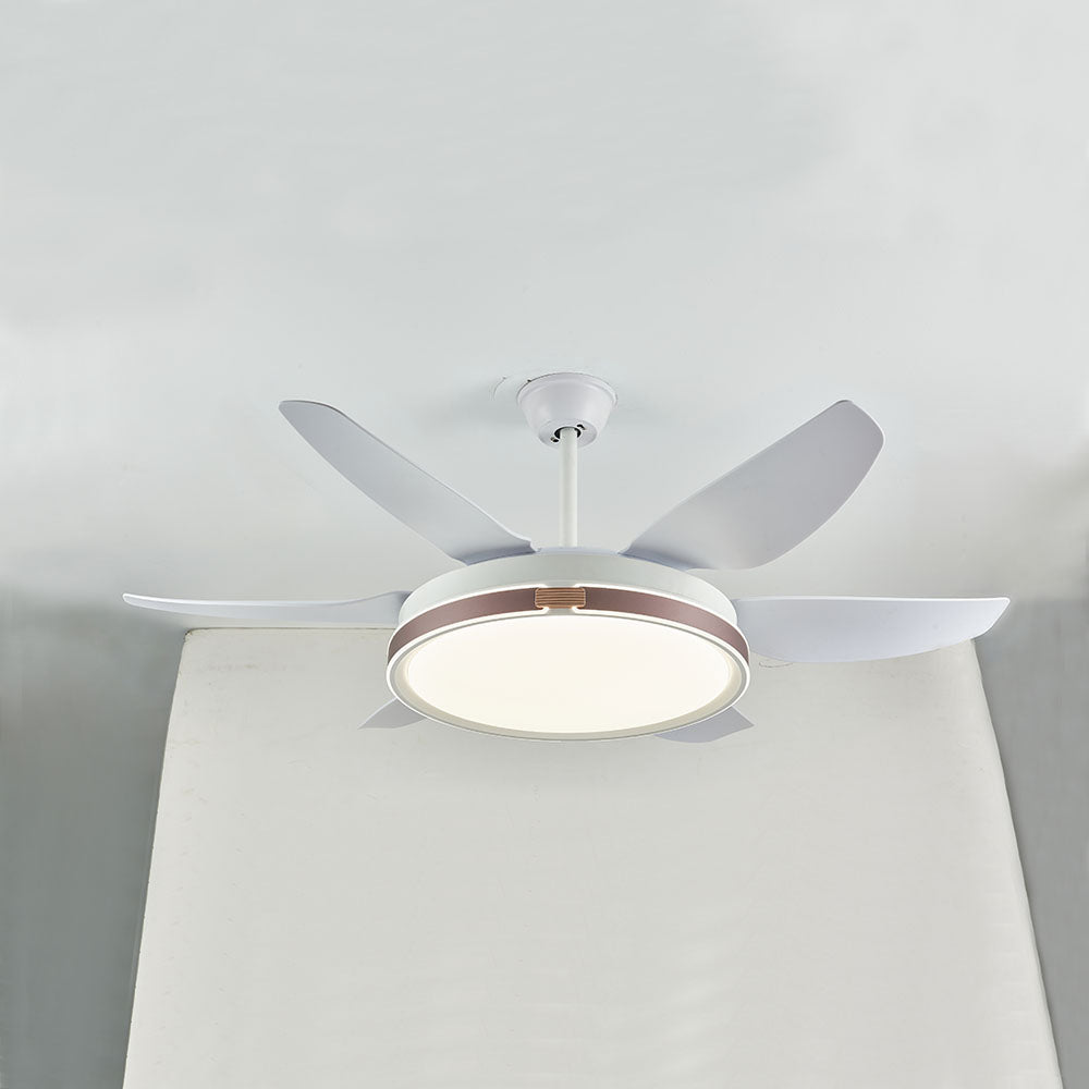 Haydn Ventilador de techo con Luz 6 Palas, 4 Colores, Motor dc, ∅130CM