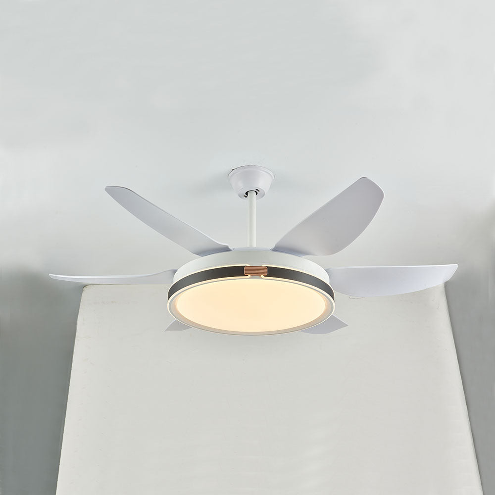 Haydn Ventilador de techo con Luz 6 Palas, 4 Colores, Motor dc, ∅130CM