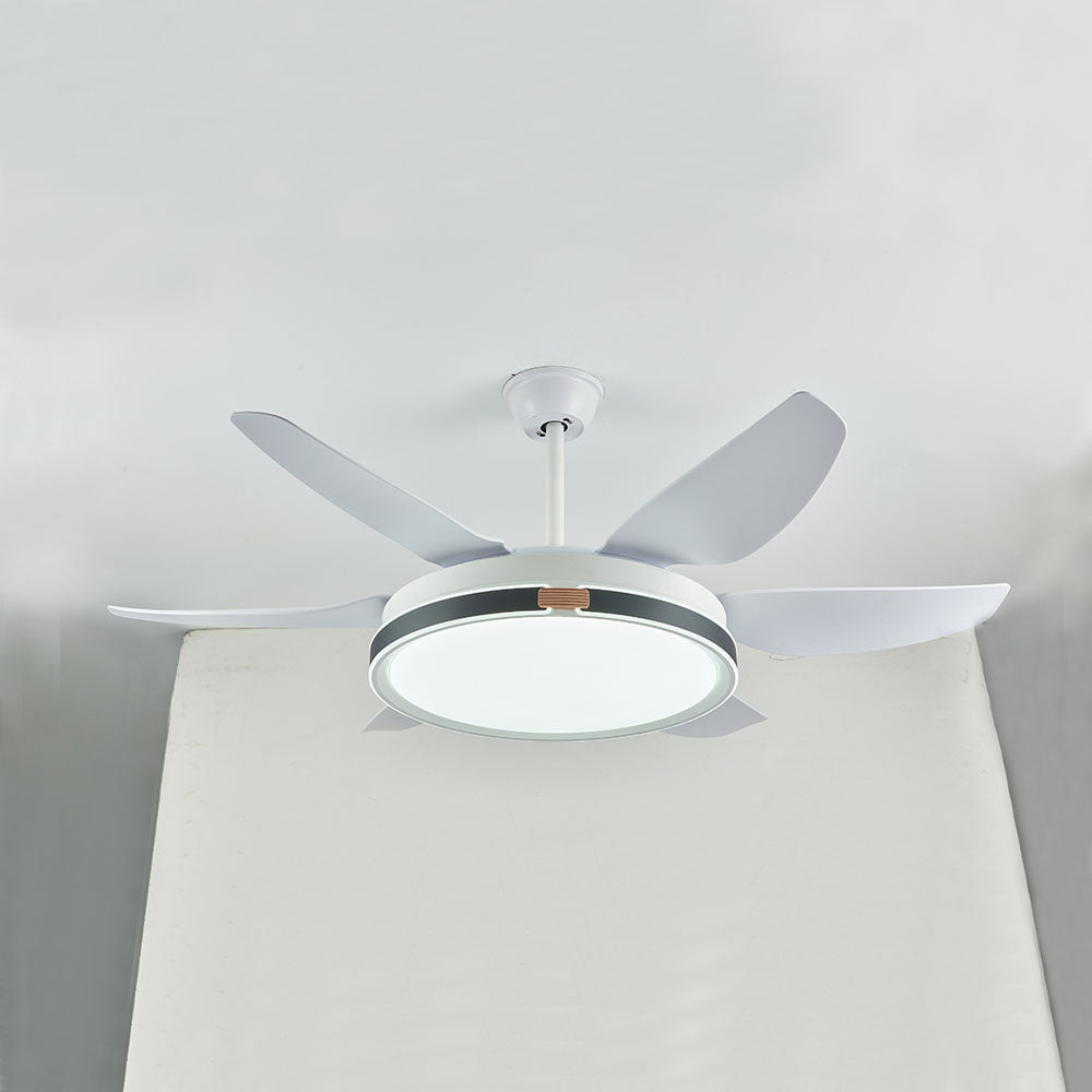 Haydn Ventilador de techo con Luz 6 Palas, 4 Colores, Motor dc, ∅130CM