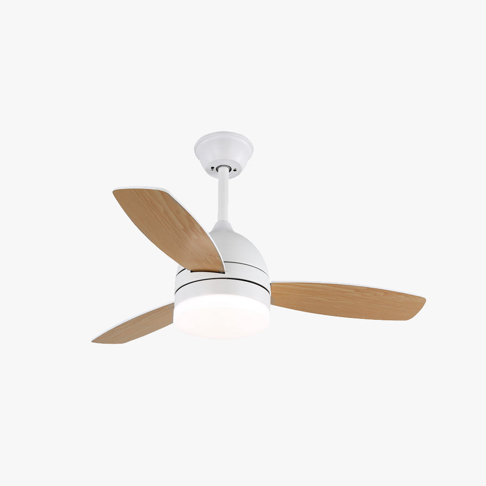 Haydn Ventilador con Luz, 3 Palas, Metal & Madera, 2 Colores , Motor dc, ∅107CM