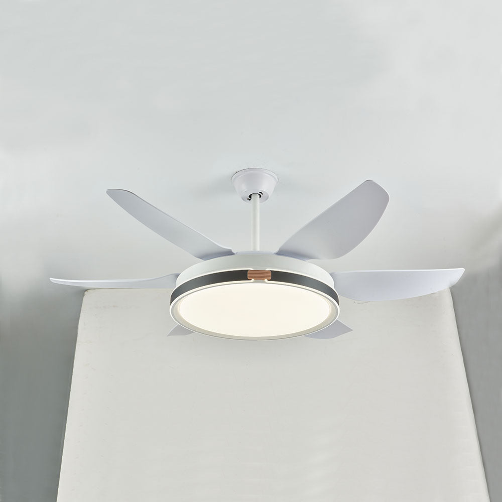 Haydn Ventilador de techo con Luz 6 Palas, 4 Colores, Motor dc, ∅130CM