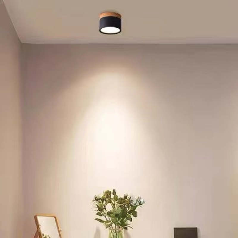 Morandi Moderna Cilíndrica Metal/Acrílica LED Lámpara de Techo Negra/Blanca